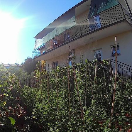Lea Apartment Umag Exteriér fotografie